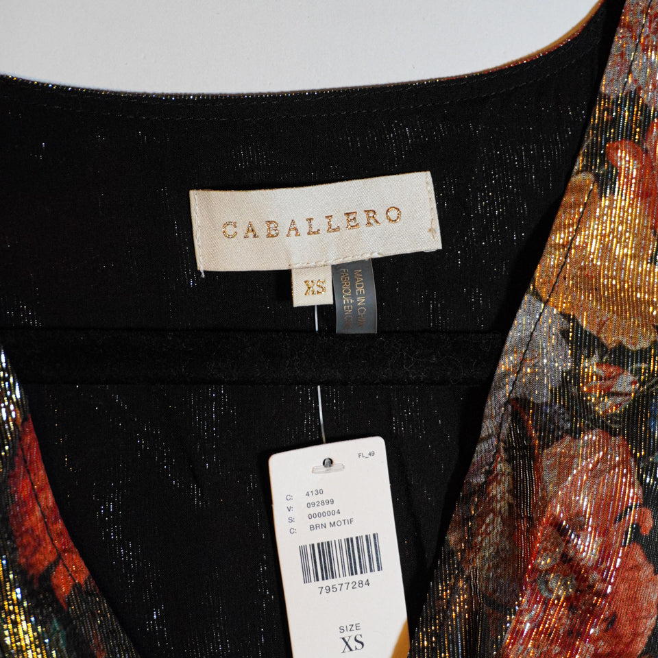 NEW Anthropologie Caballero Deep V-Neck Metallic Floral Print Pattern Maxi Dress