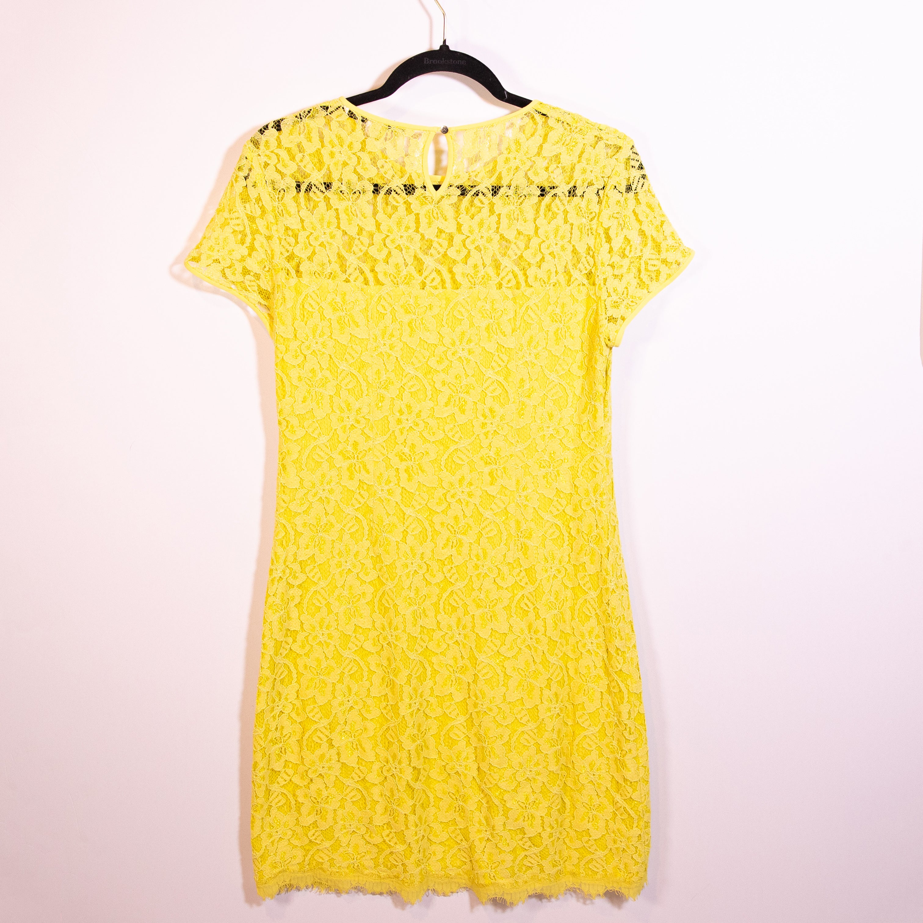 Diane Von Furstenberg Barbie Cotton Blend Allover Lace Silk Blend Lined Dress 10