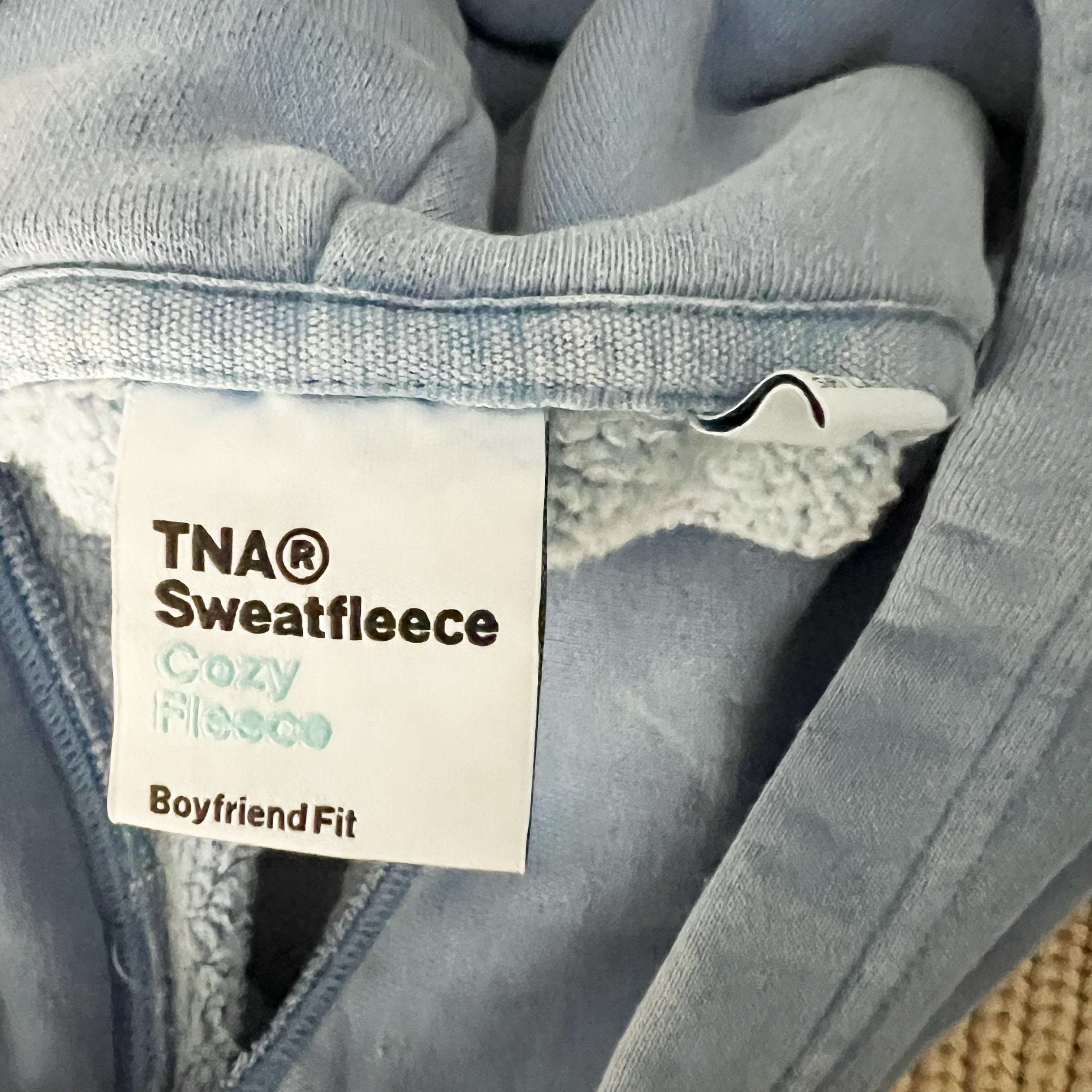 TNA Aritzia Sweatfleece Cozy Fleece Oversized Boyfriend Fit Hoodie Sweatshirt L