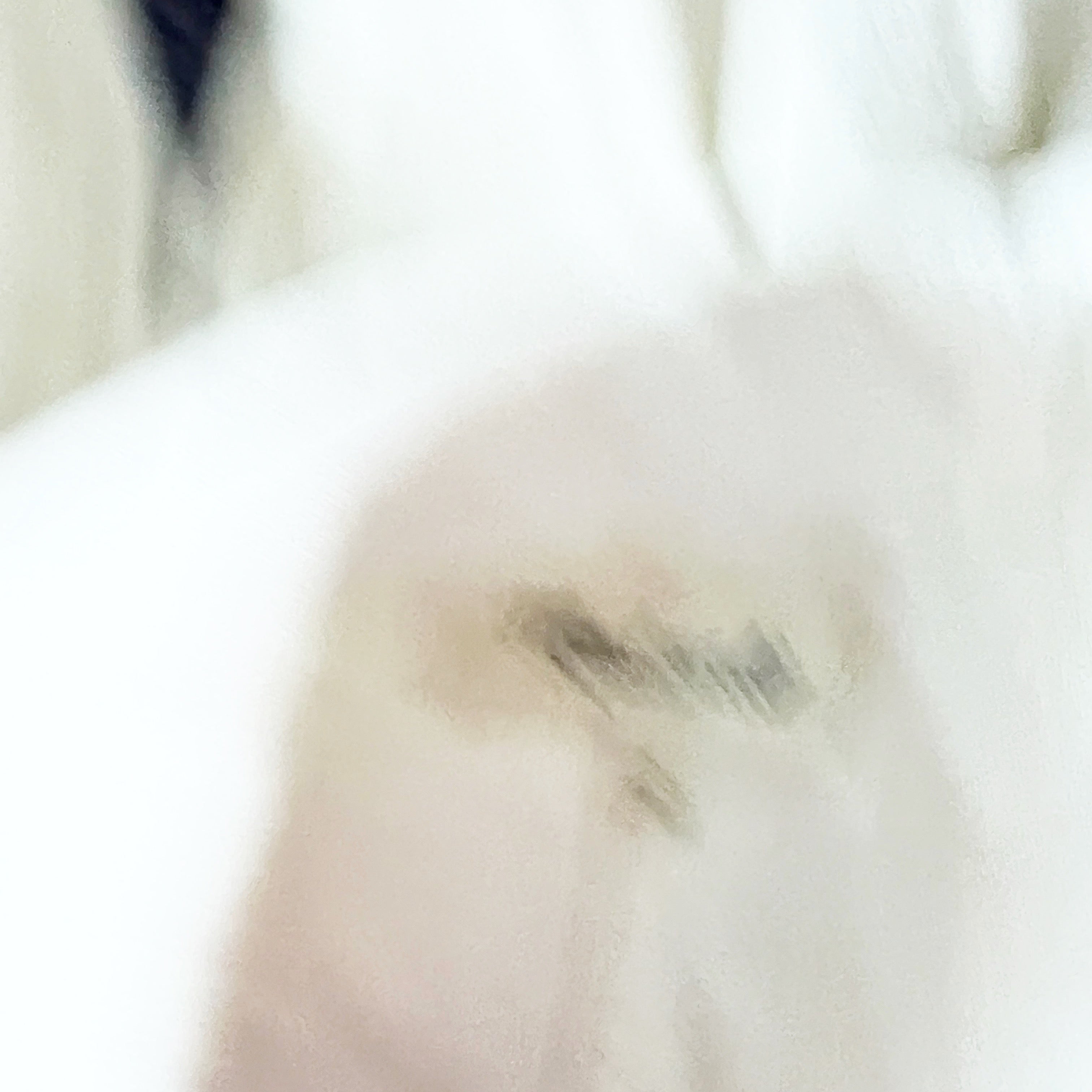 Madewell Women's Drakefield Collared Button Down Cotton Shirt Jacket Ecru M