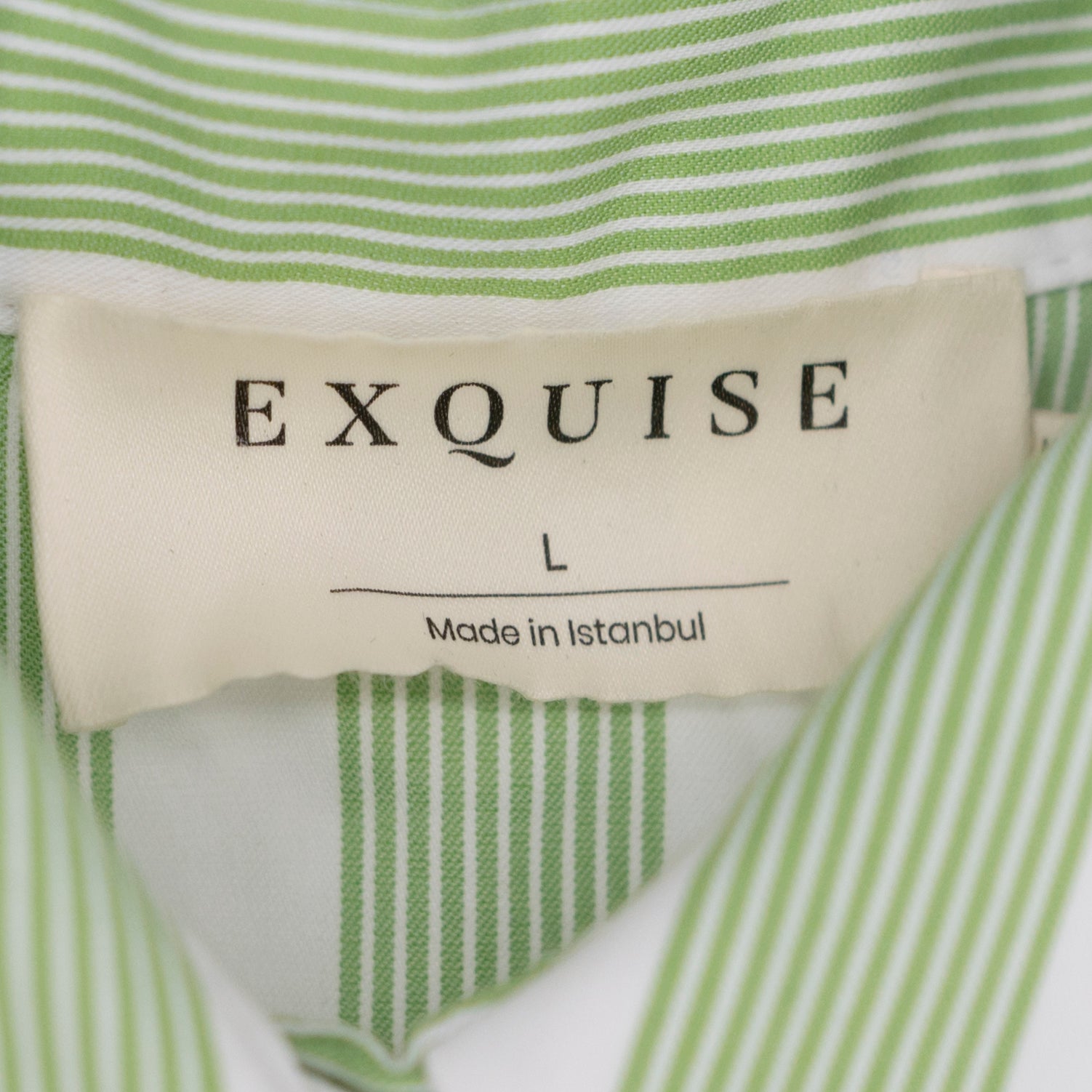 NEW Exquise The Tobie Cotton Poplin Button Front Mini Shirt Dress Green Stripe L