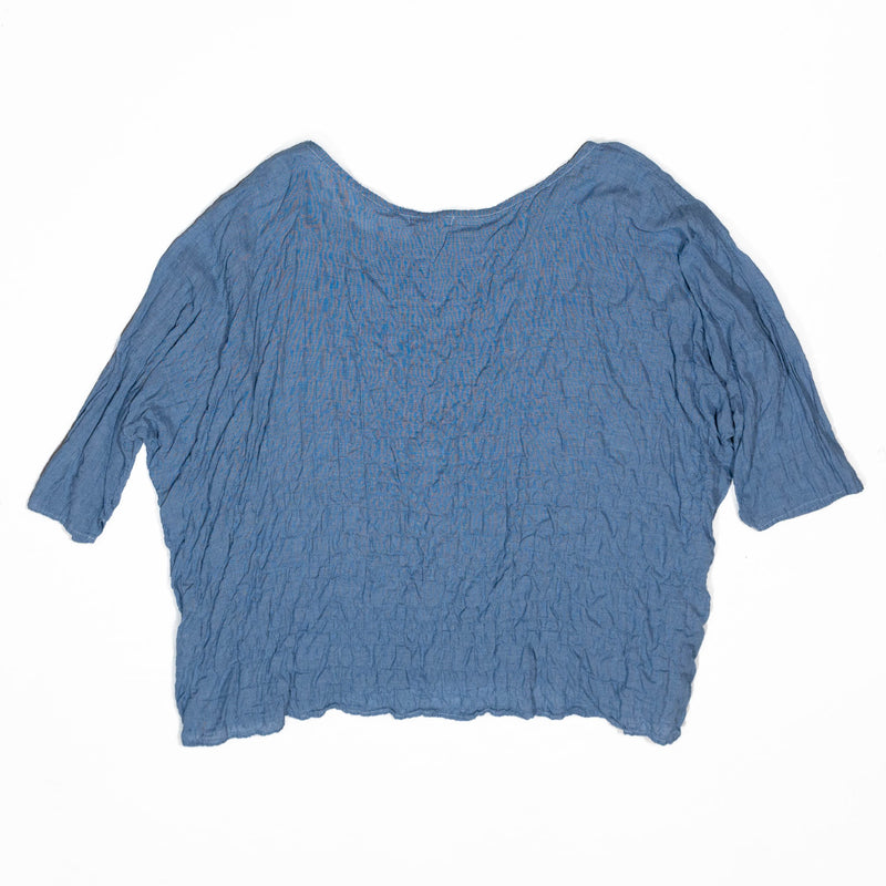 CP Shades Cotton Silk Lightweight Oversize Short Sleeve Blue Microplaid Blouse