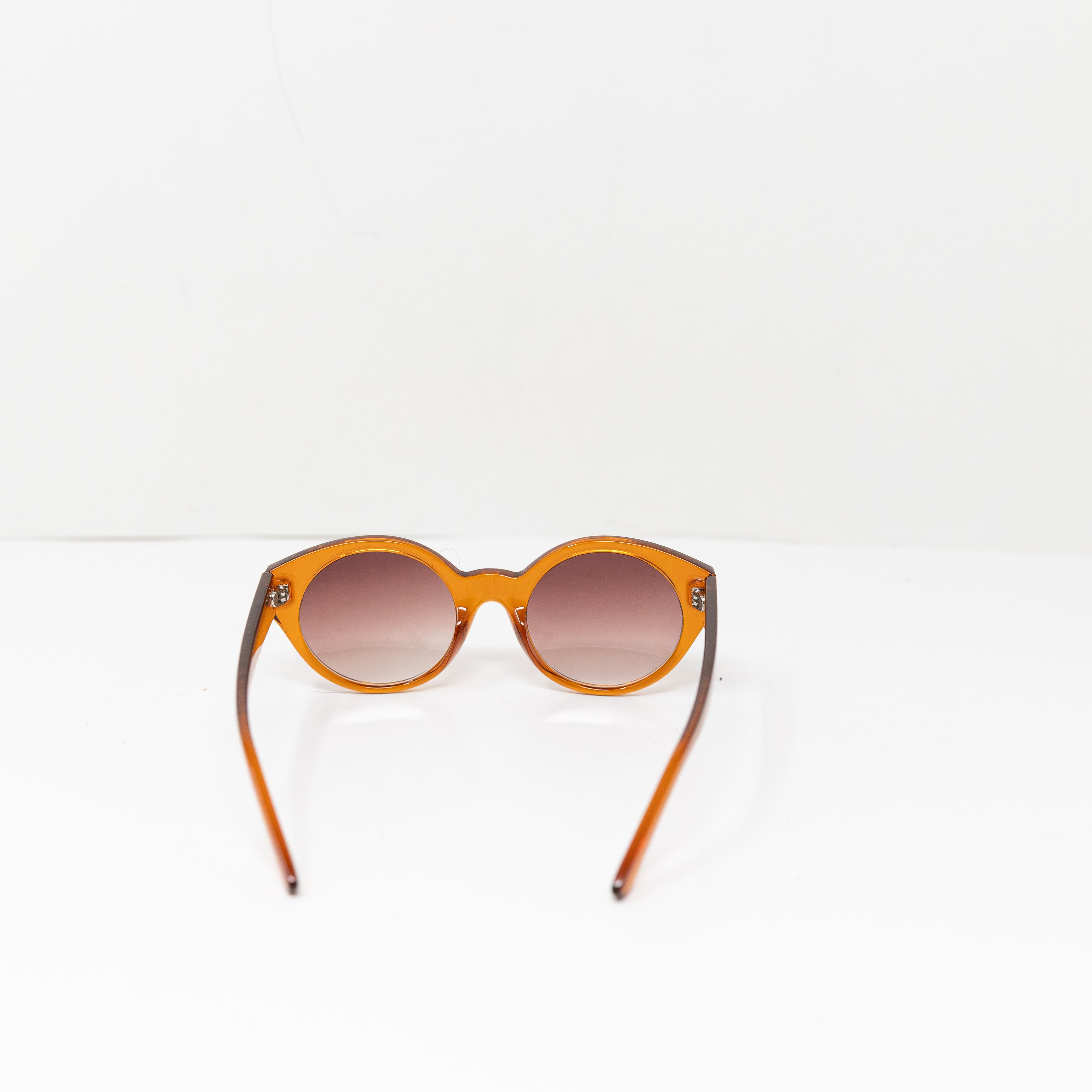 Reality Women's Semi Clear Plastic Round Lenses Sunglasses Brown Neutral