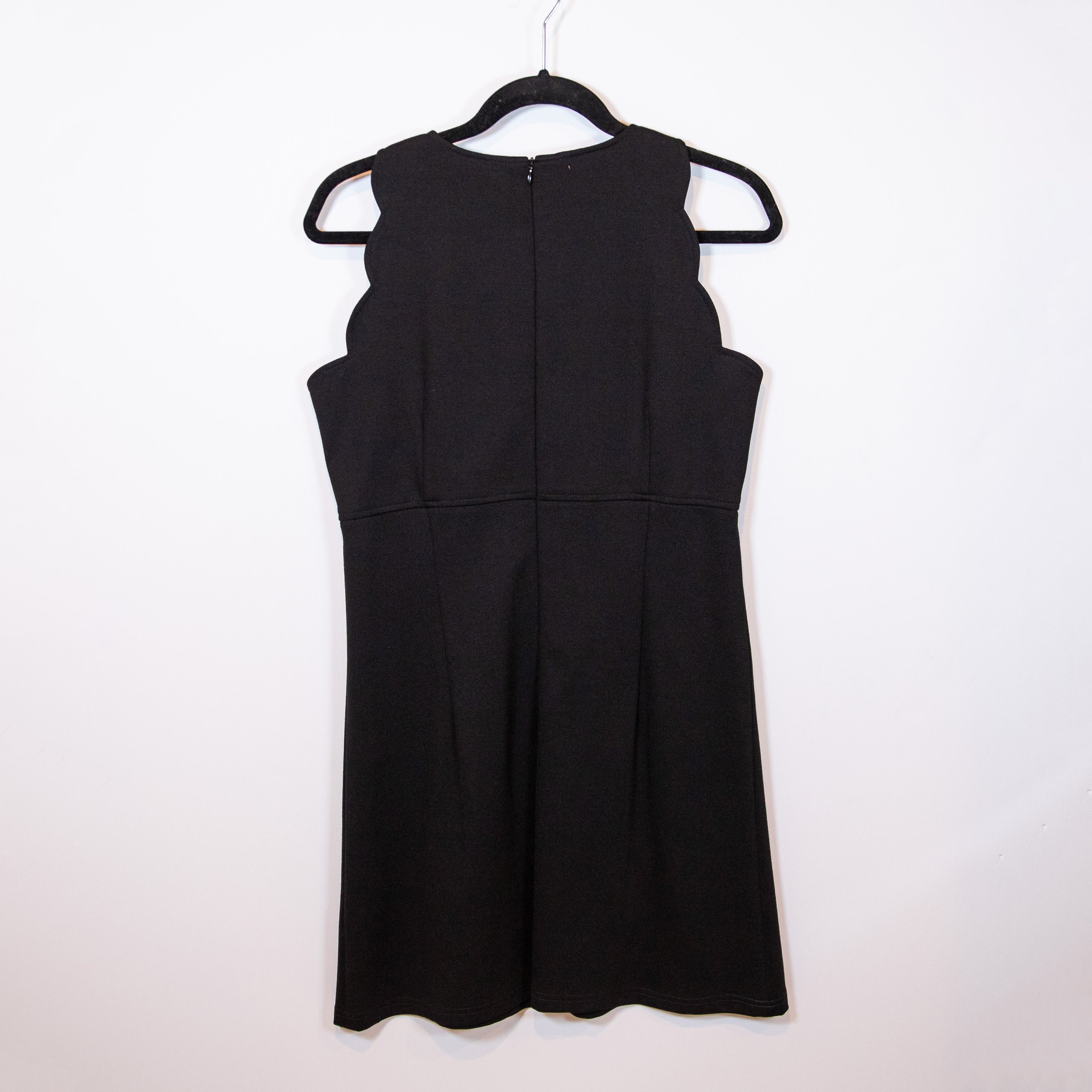Sara Campbell Stretch Knit Mother Of Pearl Button Scalloped Mini Shift Dress S